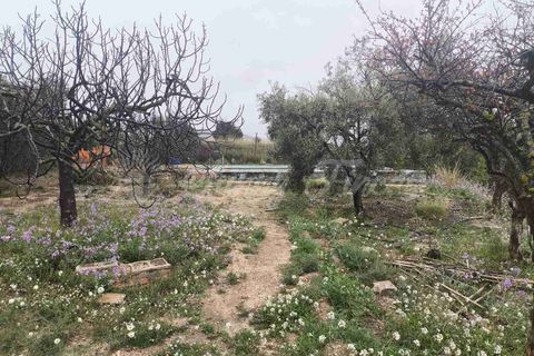 Landejendom i Monovar, Alicante, Monovar - € 88.000 | Ref: SF0564 - foto 20